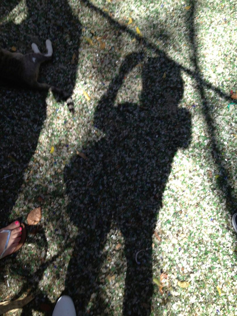 PictureofMyShadow_zps2a0a5646.jpg