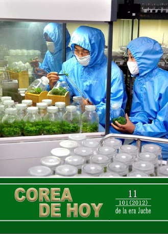 Corea de Hoy - Noviembre 2012(Juche 101), nº514