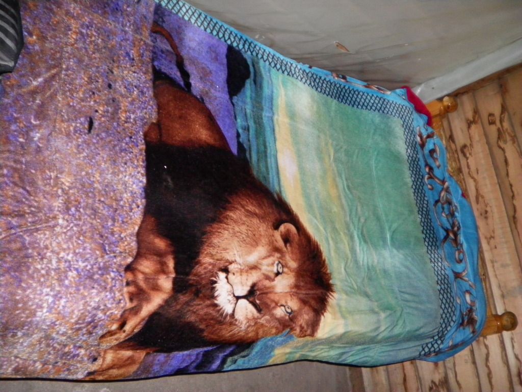 Todo Lo Que Tengo En Mi Cuarto Todo Lo Que Tengo En Mi Cuarto
