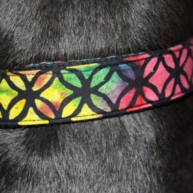 Stained Glass Adjustable Dog Collar- You pick size!