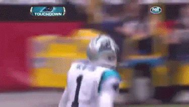 NFL-Panthers-QB-Cam-Newtons-First-Touchdown-Pass-To-Steve-Smith-2011-1.gif