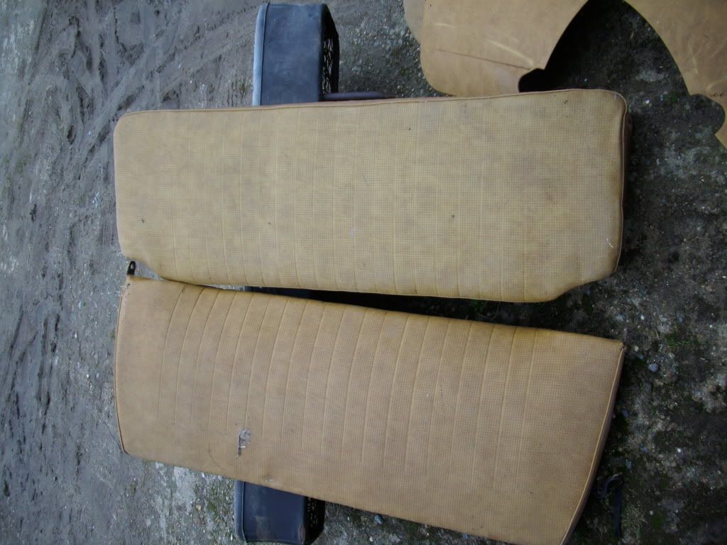 DSCI0177.jpg