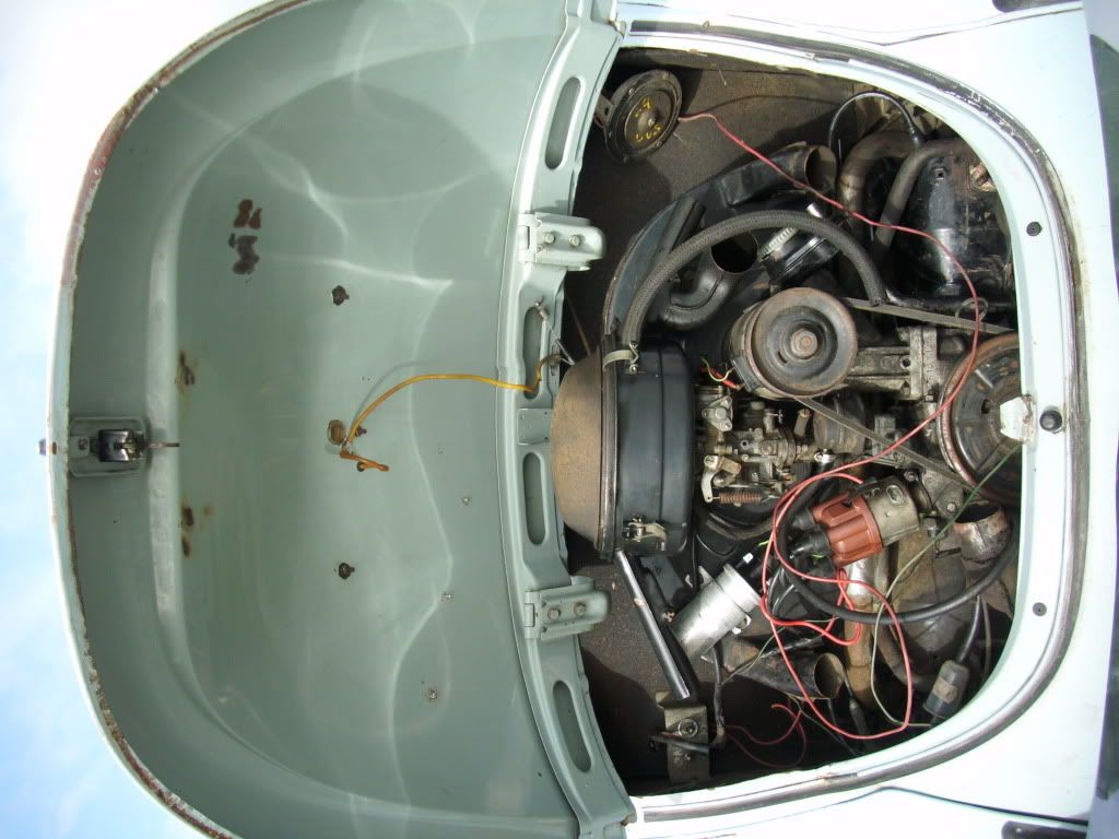 DSCI0194.jpg