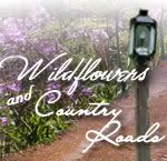 Wildflowers and Country Roads