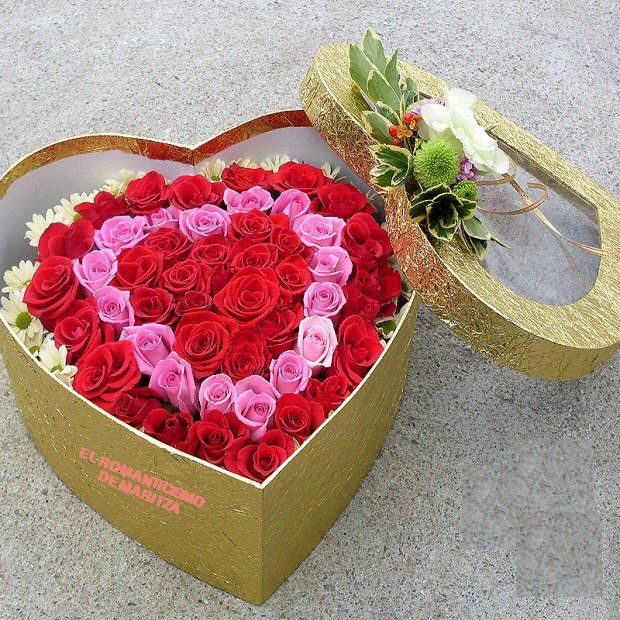  photo 185096_355735394504509_337647211_n.jpg