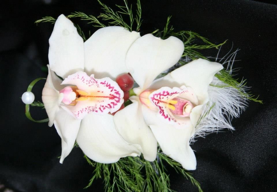  photo 72960_213334925458227_955794614_n_zps6431854f.jpg