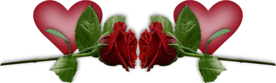  photo 98d0fda767.gif