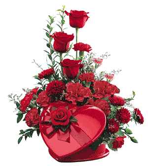  photo bb1fe08d79dfdd52add5804df48fa34e.gif