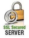 Security Verified Seal
