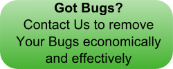 pest control adelaide