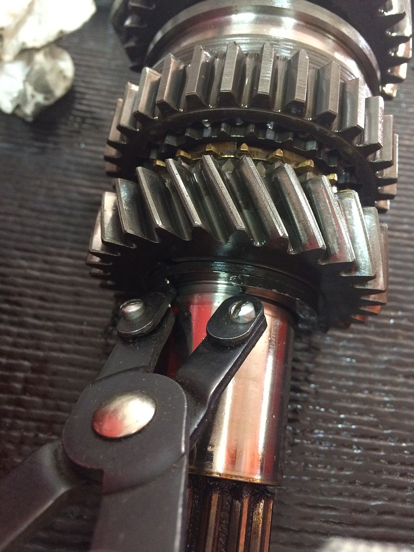  photo 2016-08-05 16.38.05_zpsy0ie1hj6.jpg