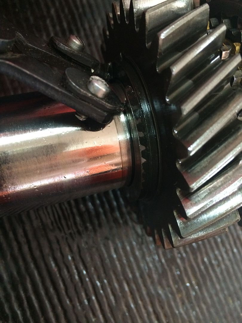  photo 2016-08-05 16.38.51_zpsyza52qve.jpg