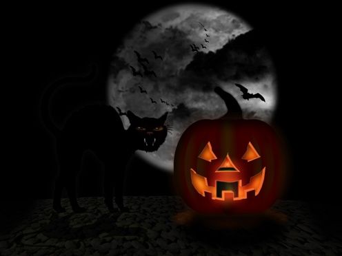 Pumpkin-Black-Cat-Wallpaper-1.jpg