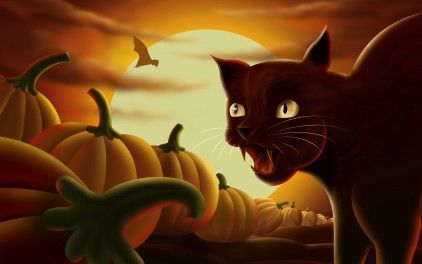 black-cat-halloween-pumpkins_422_16602.jpg