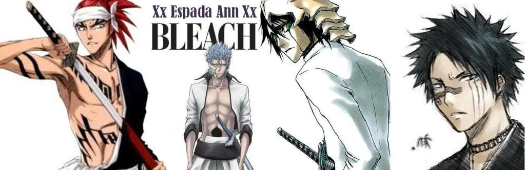 Bleach- The Second Coming banner