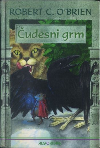 cover_zpsohsqhtpy.jpg