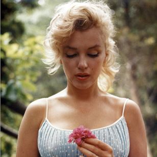 marilyn-monroe-landing.jpg