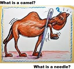  photo camel.jpg