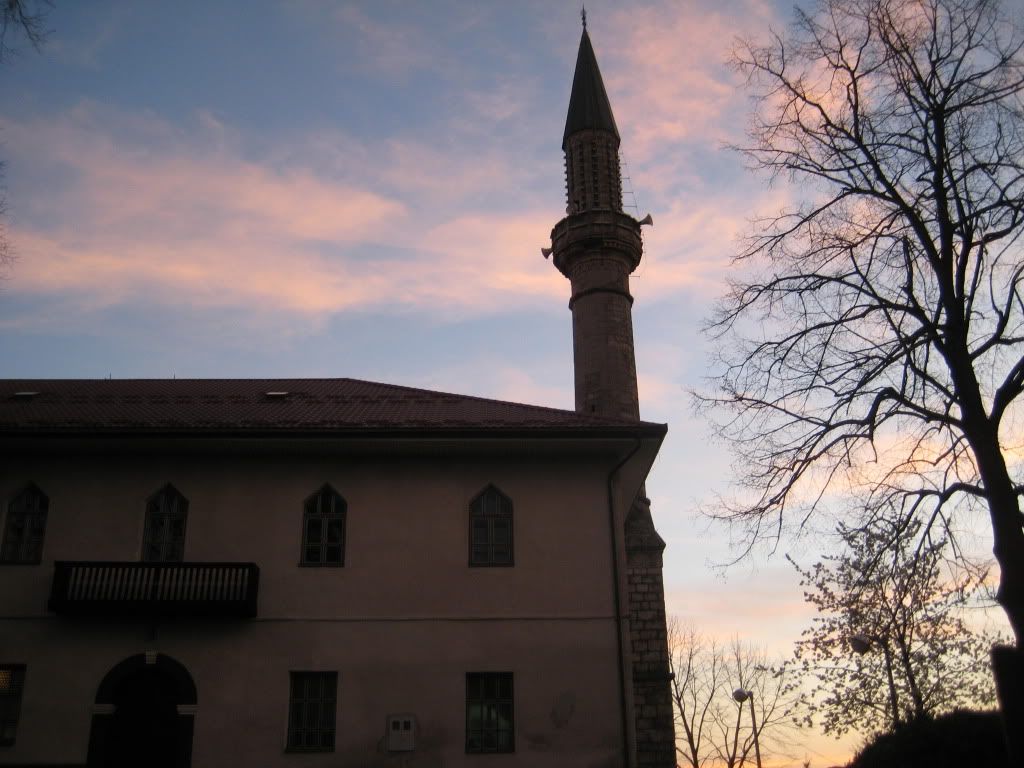 Posted Image