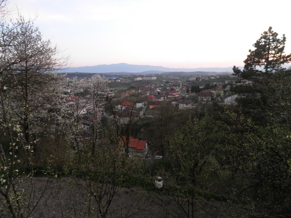 Posted Image