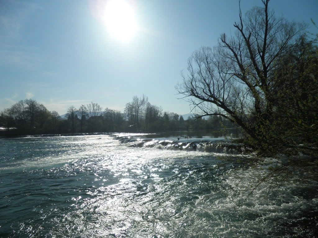 Posted Image