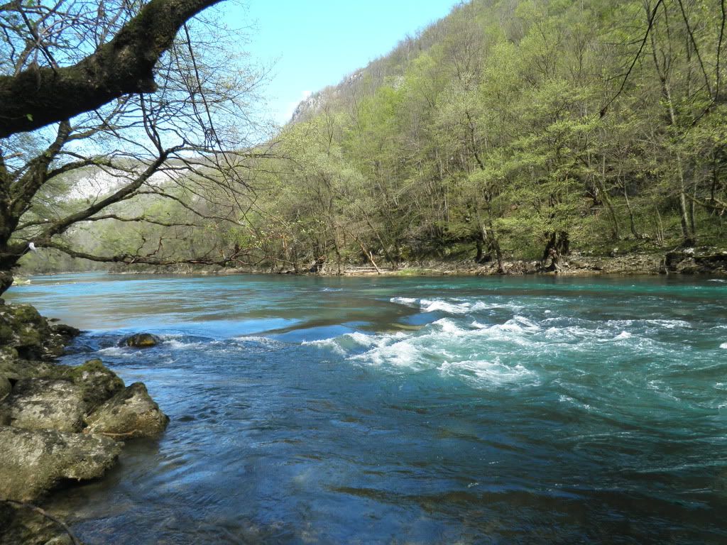 Posted Image