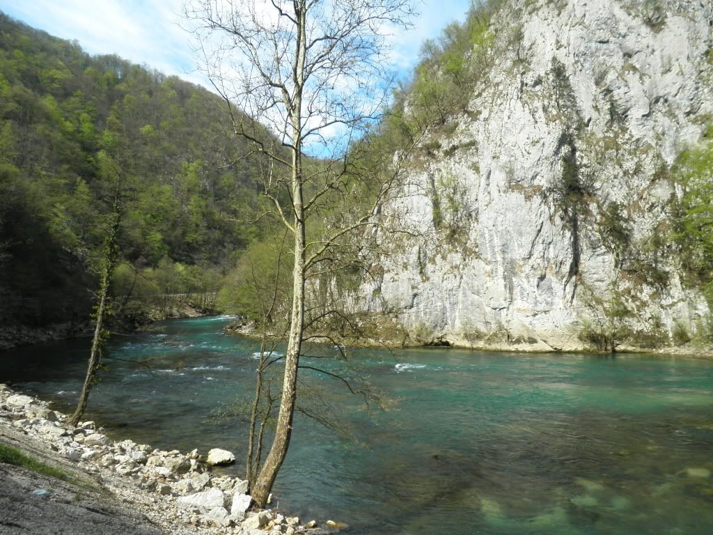 Posted Image