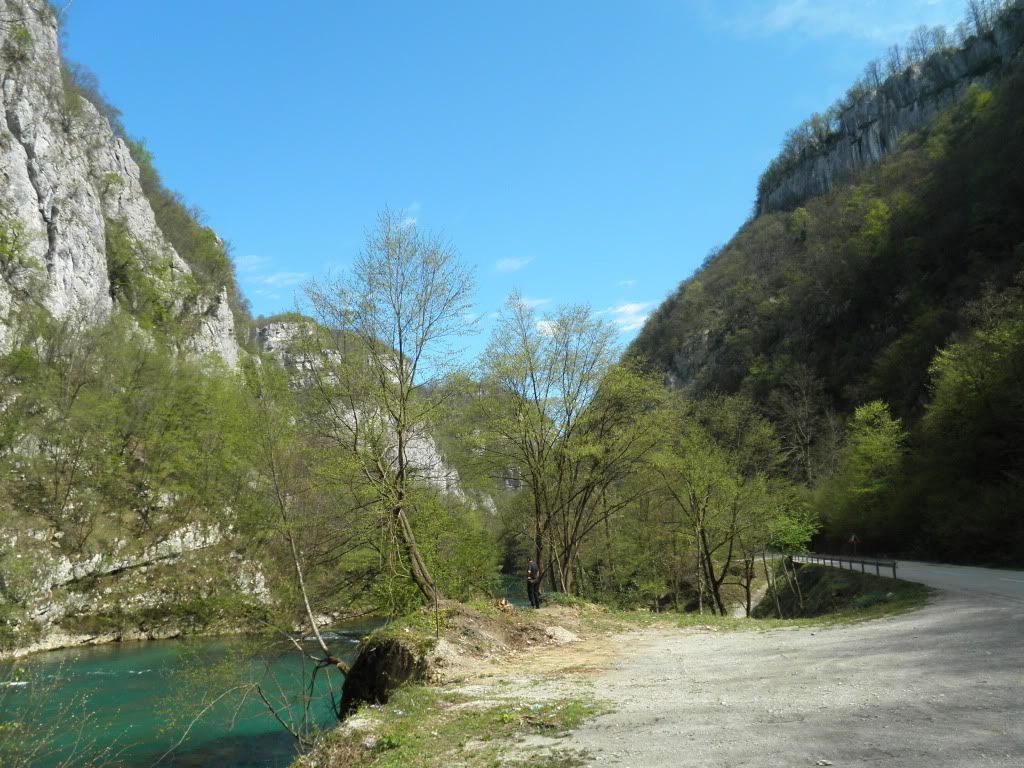 Posted Image