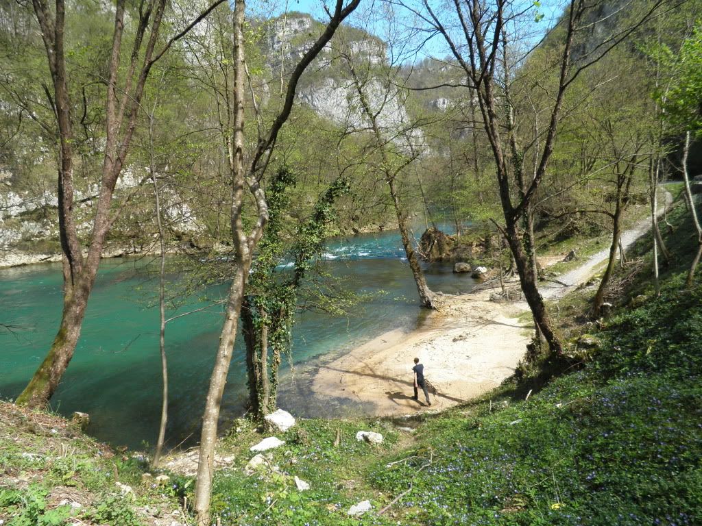 Posted Image