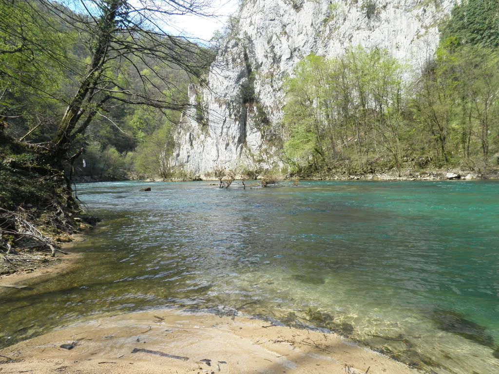 Posted Image
