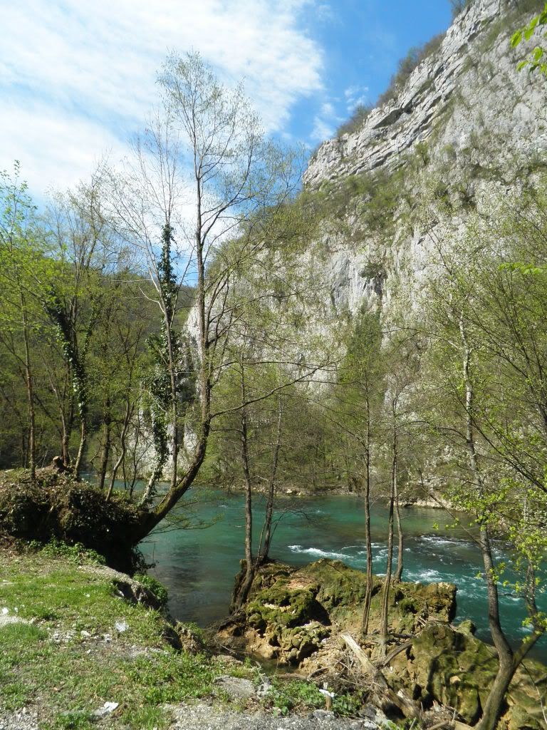Posted Image