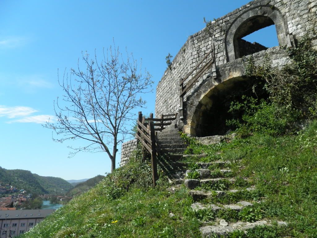 Posted Image