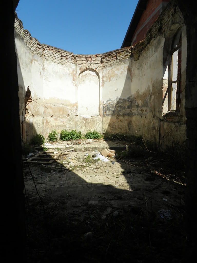 Posted Image