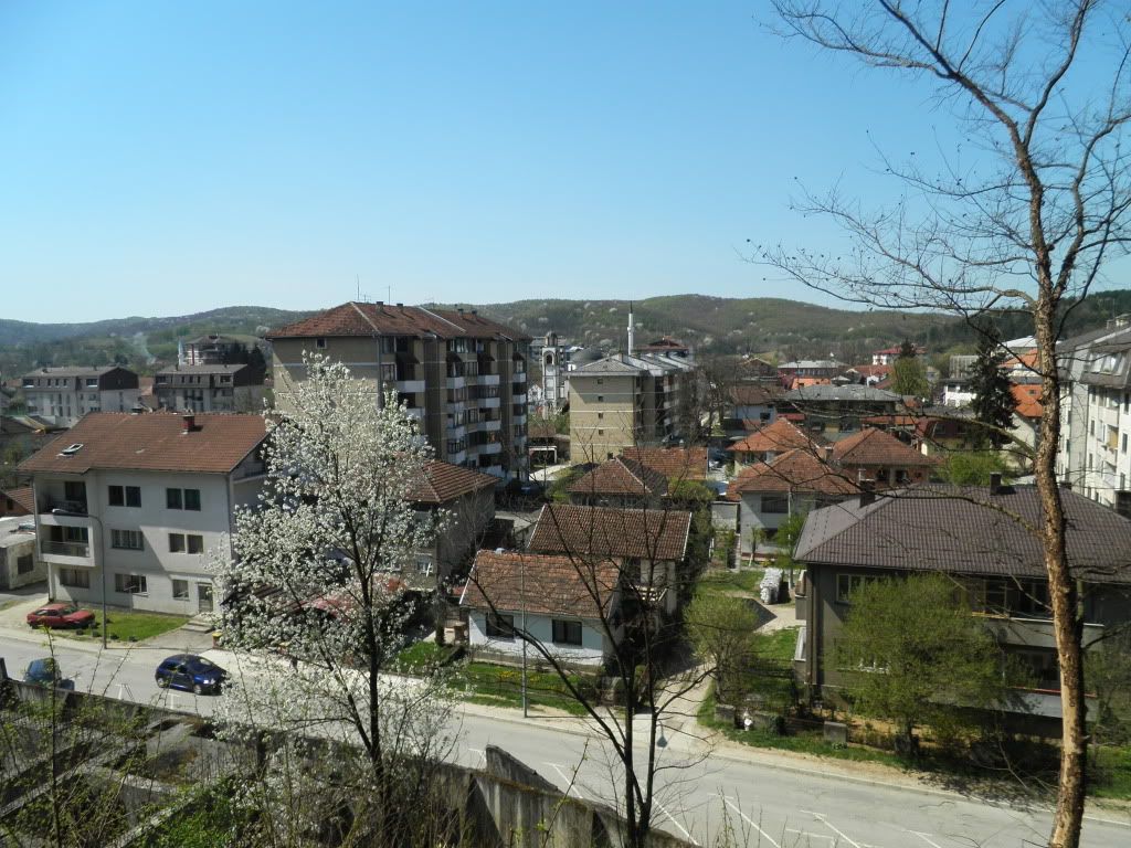 Posted Image