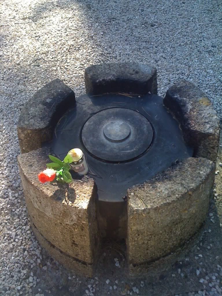 Poslana slika