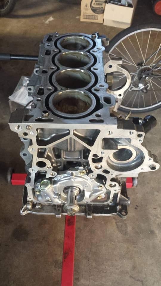 1186177_10202553626937276_323941426_n.jp