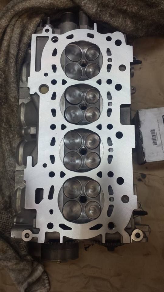 1608998_10202477205506788_996526797_n.jp