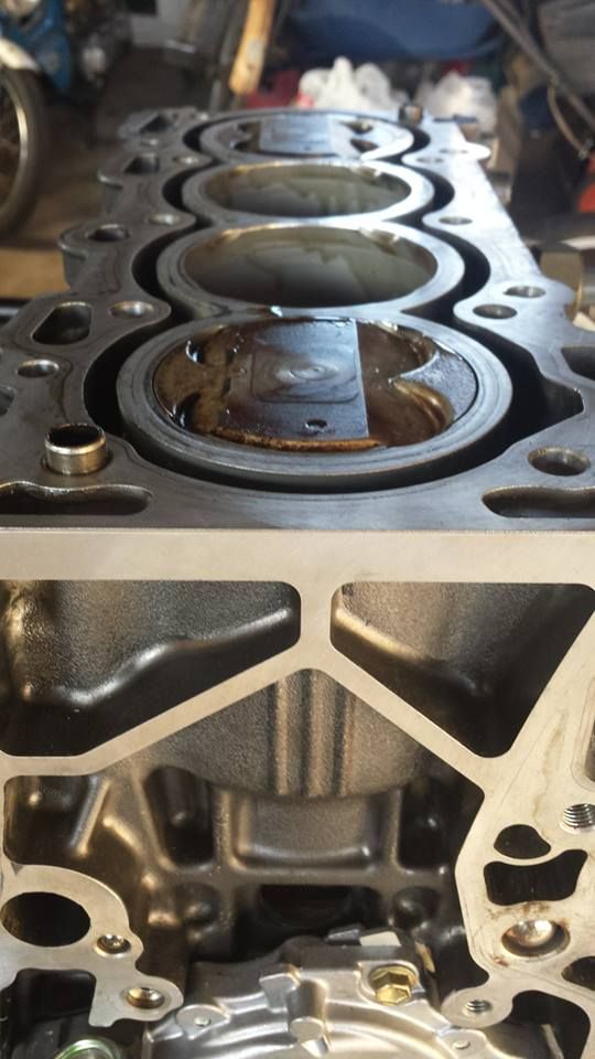 1920450_10202553626657269_631532697_n.jp