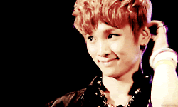 UPDATE!~/KEY FACT AND GIF - shinee gifs facts shineeworld allaboutshinee - chapter image