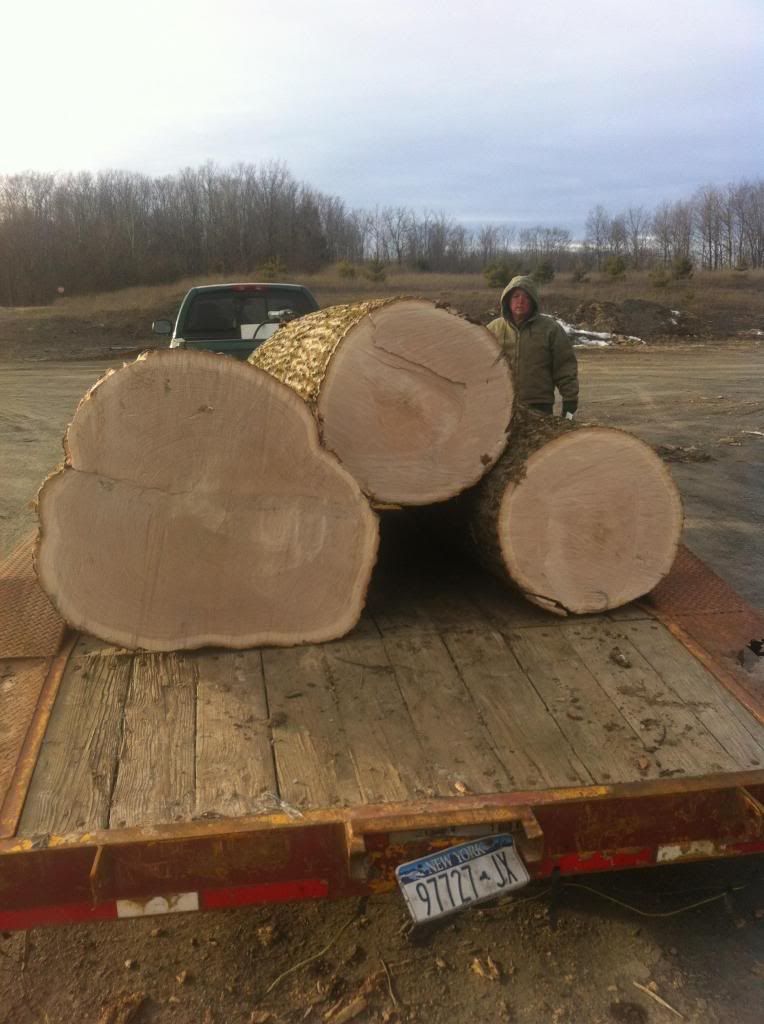 Some Pic's from current logging project at my home - Homesteading Questions