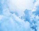 Cross Creek Bridge Ministries, Inc.
