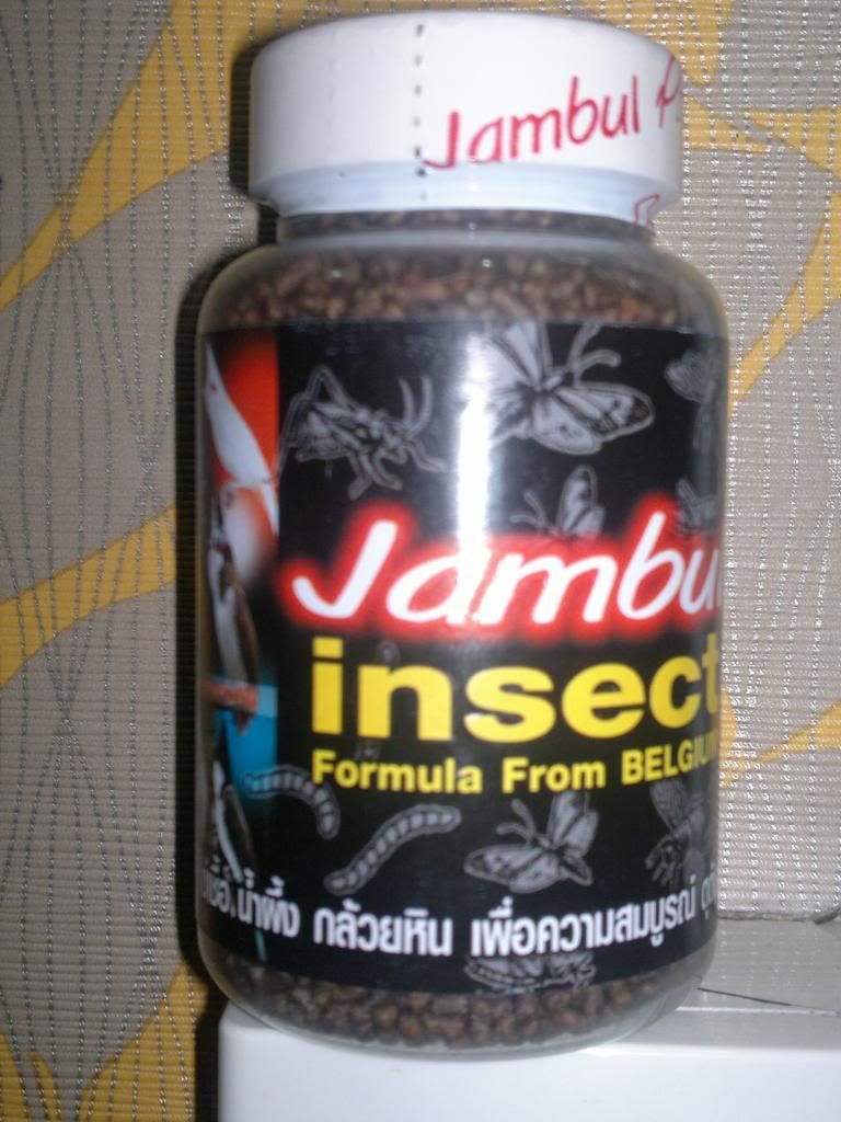 18082013126.jpg