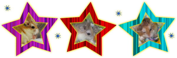Banner_zpsdd15baad.png
