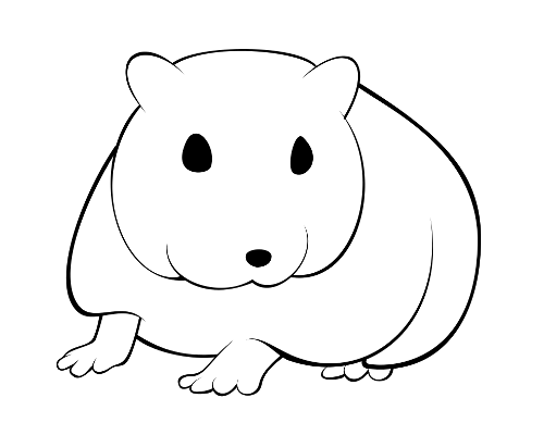 template_ww_zps80aa39f2.png