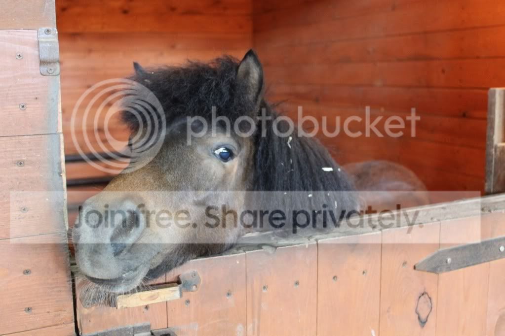 Photobucket Pictures, Images and Photos