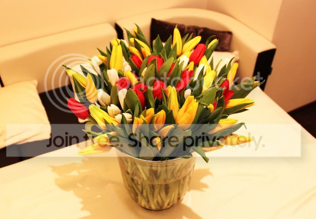 Photobucket Pictures, Images and Photos