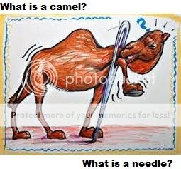  photo camel.jpg